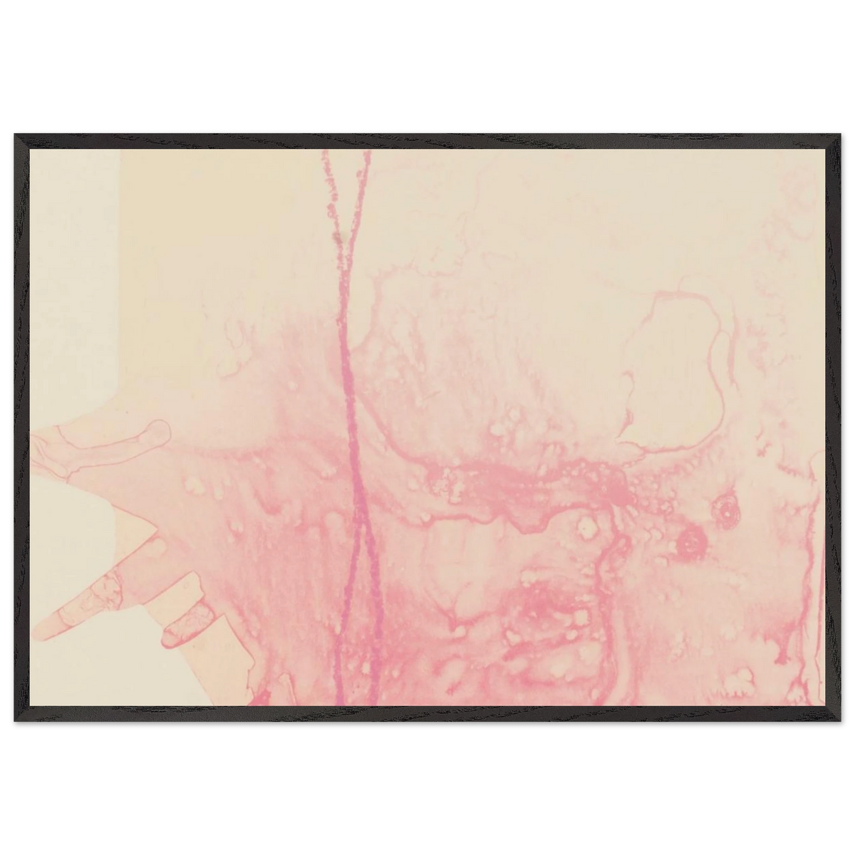 20d69817-01d8-4a01-b395-cd74bbd27e6e