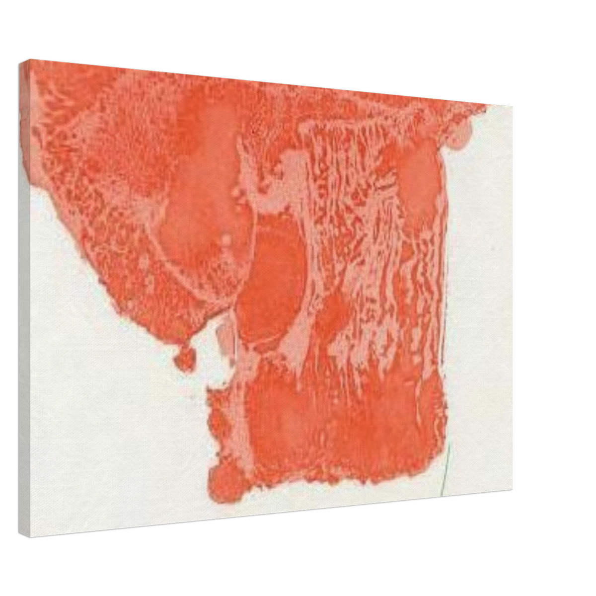 c19ad108-e8af-4f6d-a18b-571809269a11
