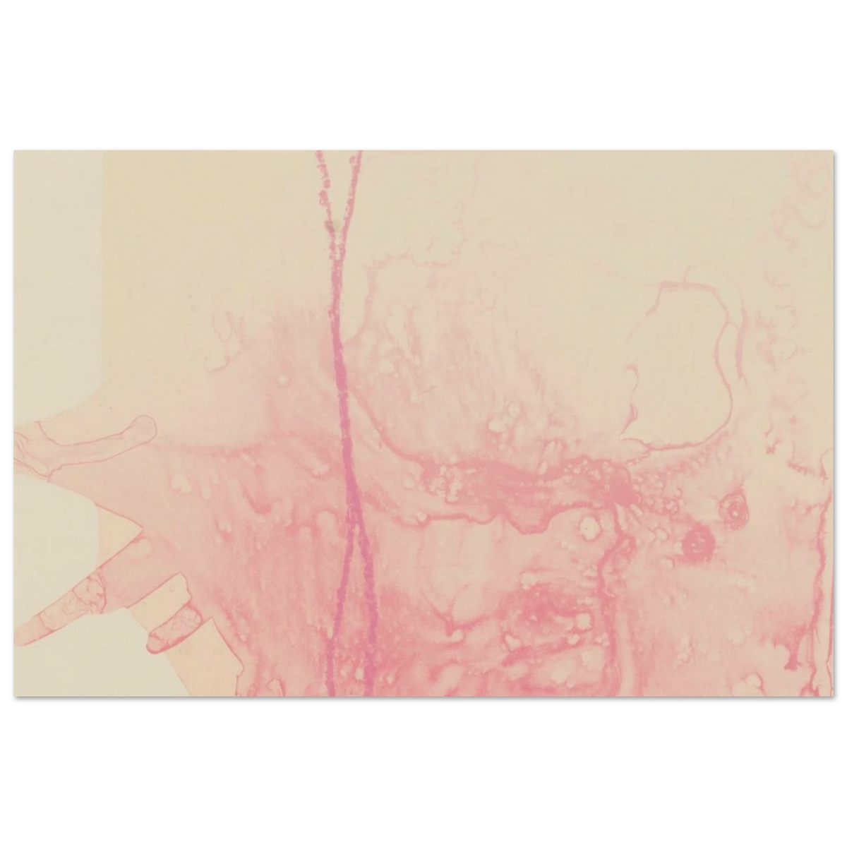 e6d41995-38b2-43aa-b72b-7ce4cbfe577d